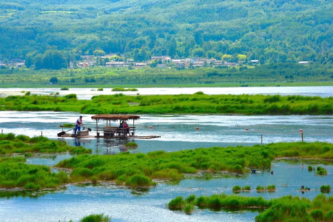 騰沖界頭鎮(zhèn)+手抄紙博物館生態(tài)一日游