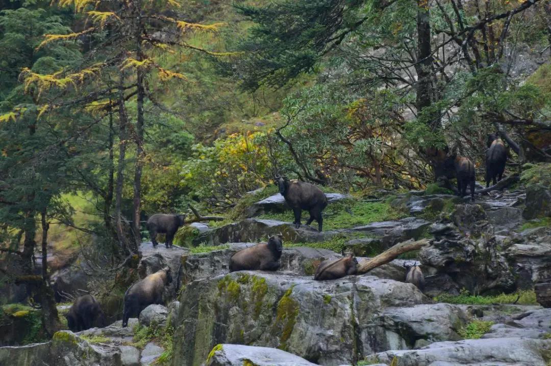騰沖親子游學(xué)/研學(xué)旅行