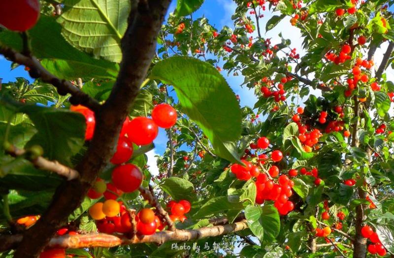 騰沖戶外培訓(xùn)徒步訓(xùn)練尋寶類拓展場地推薦：騰沖新岐古鎮(zhèn)拓展培訓(xùn)基地