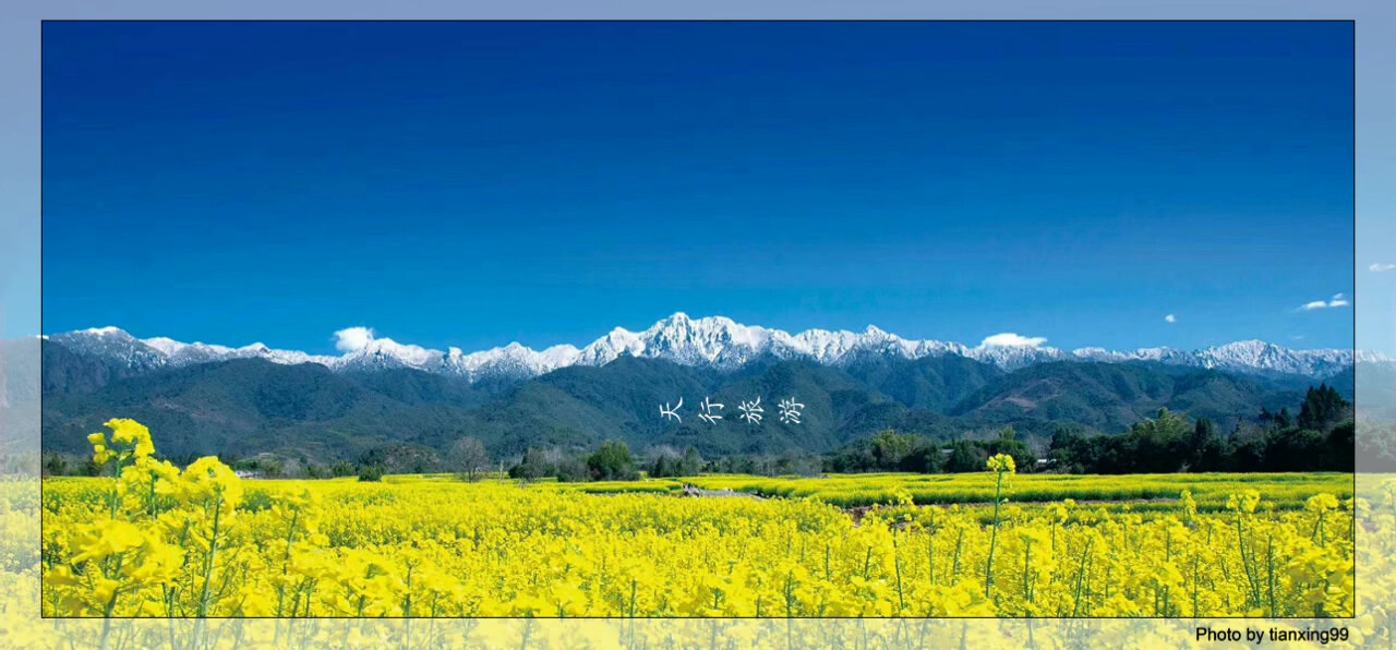 騰沖四晚五天徒步行程線路推薦--觀賞萬畝油菜花海, 重走遠征軍之路