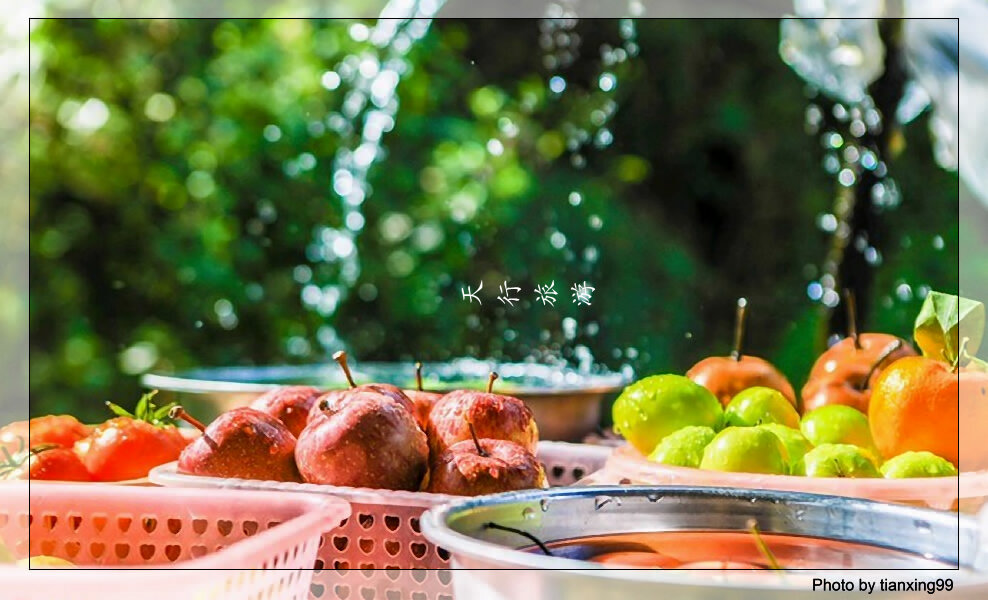 保山騰沖一日游線路推薦--百花嶺生態(tài)旅游區(qū)+高黎貢山植物園戶外徒步一日游【贈水果采摘】