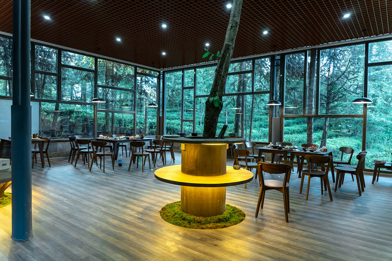 騰沖大地茶園拓展訓(xùn)練基地