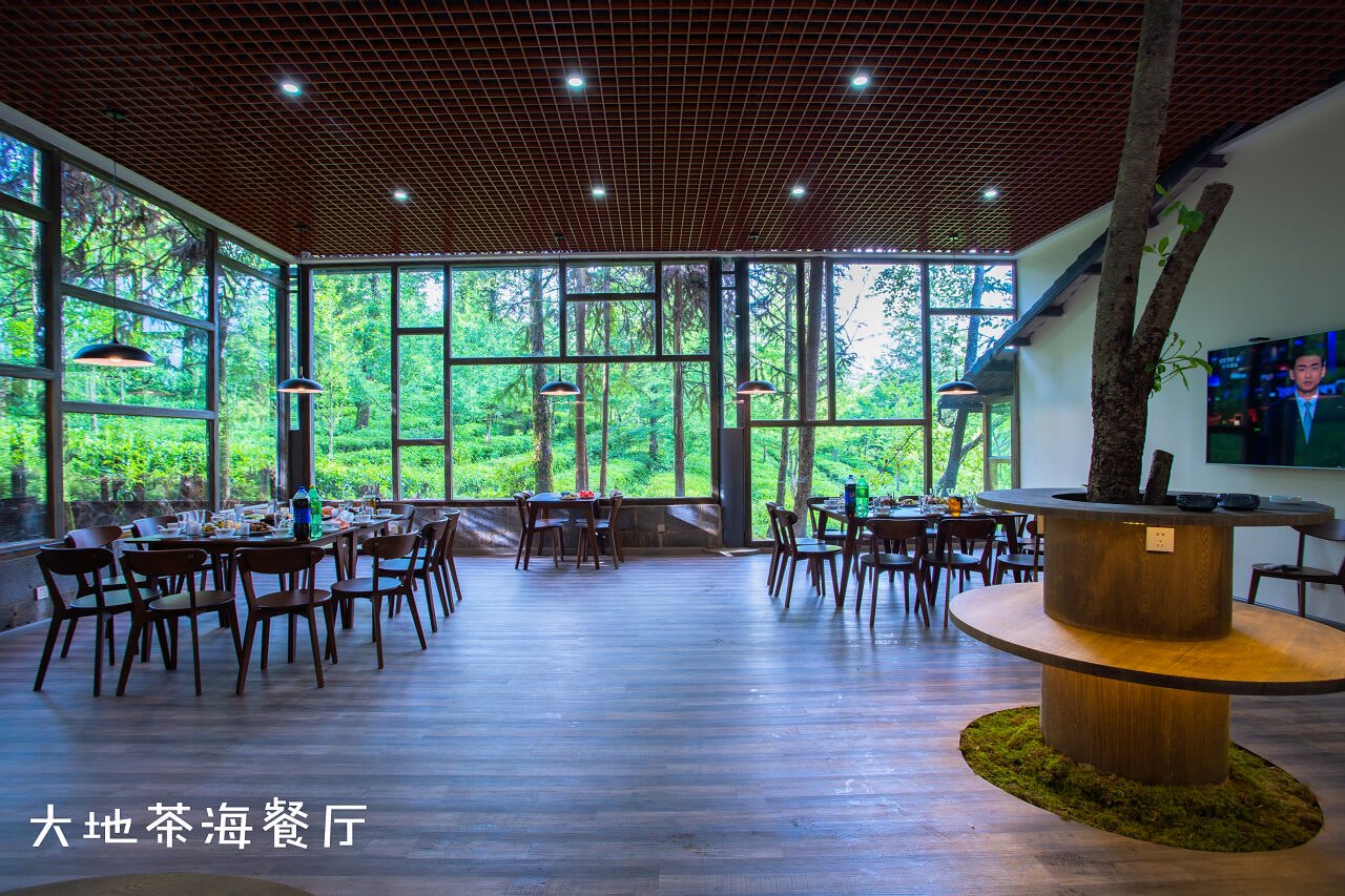 騰沖大地茶園拓展訓(xùn)練基地