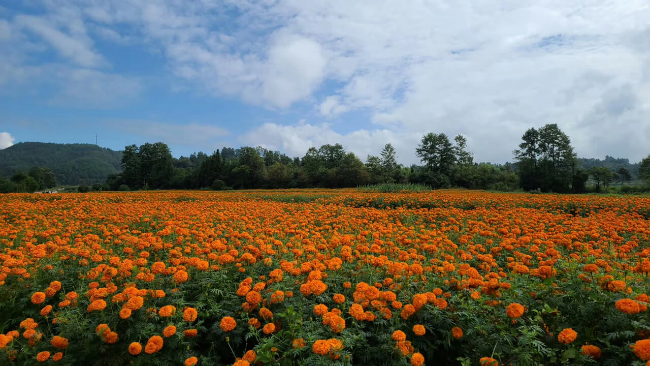 騰沖徒步路線馬拉松賽道