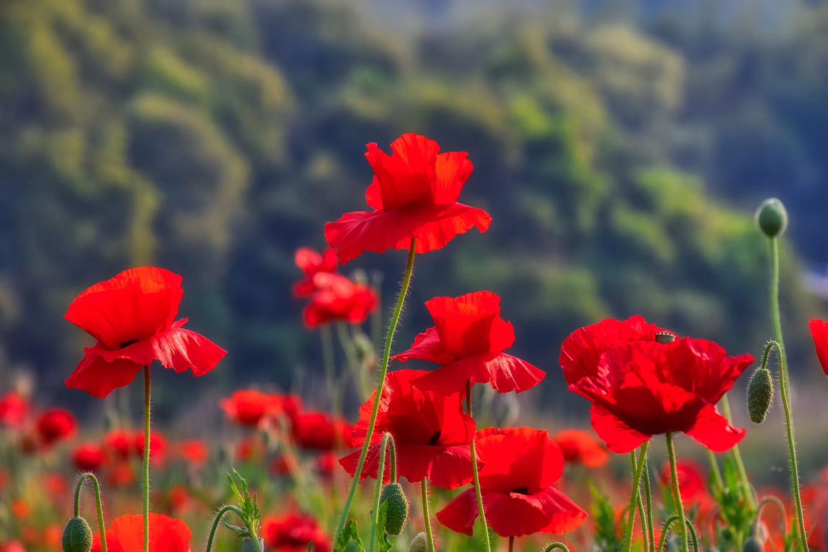 騰沖龍川江漂流拓展項目