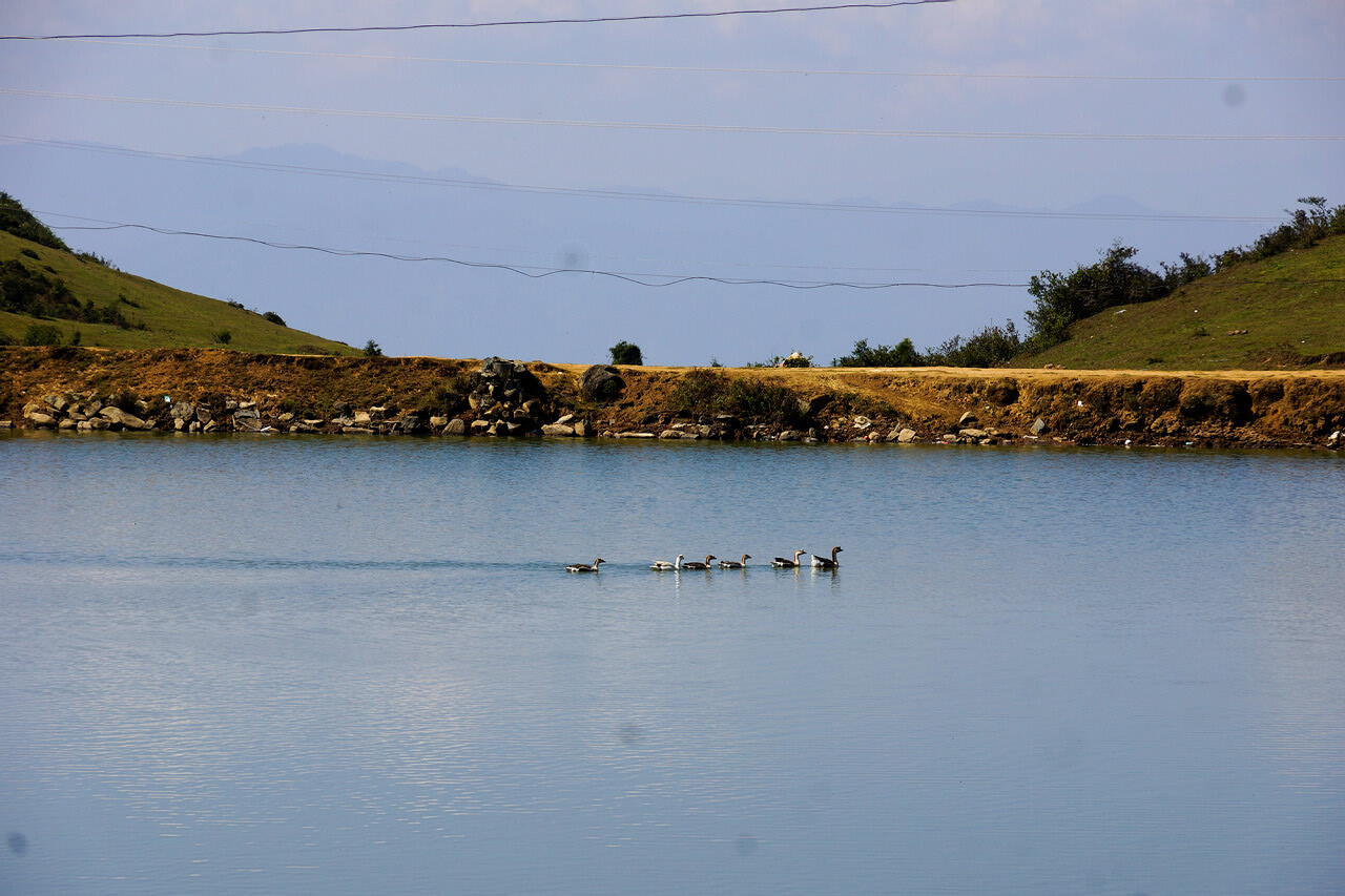 騰沖東山高原草甸牧場
