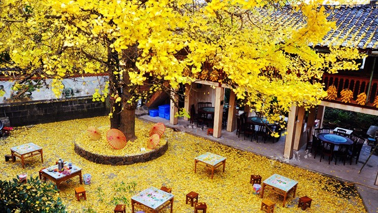 云南騰沖研學(xué)旅行：在研學(xué)中培養(yǎng)學(xué)生的創(chuàng)新精神和實(shí)踐能力