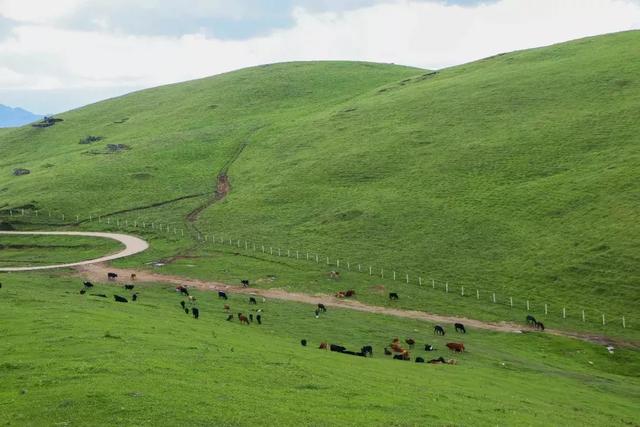 放緩腳步，看看風(fēng)景再趕路 | 騰沖東山草原燒烤游覽