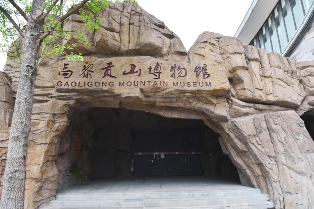 騰沖高黎貢山博物館，開啟一段探索自然的奇幻旅程