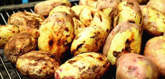 冬日：邀您赴保山瓦房村“賞櫻花吃洋芋”