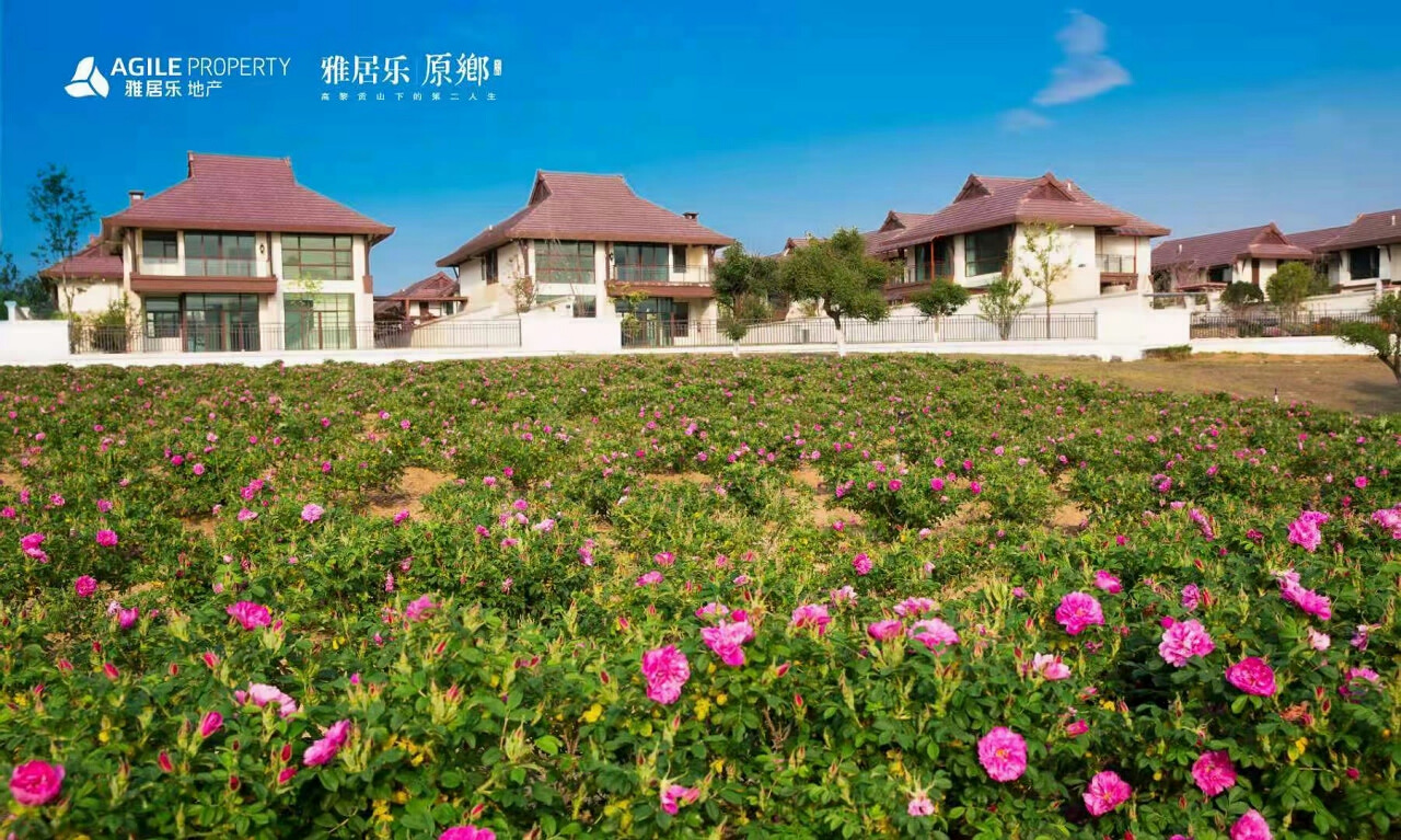 騰沖雅居樂(lè)原鄉(xiāng)棲花嶺景區(qū)