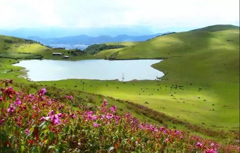 騰沖的歷史印記——天上草原、玉壁古道，戶外徒步旅行