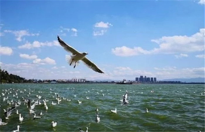 騰沖旅游包車注意事項 騰沖旅游汽車租賃公司天行旅行為您解惑
