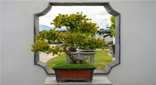 騰沖旅游景點(diǎn)