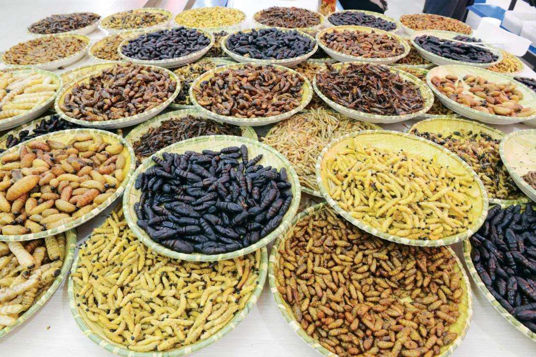 百蟲入宴 道道皆芬芳     騰沖旅游景點