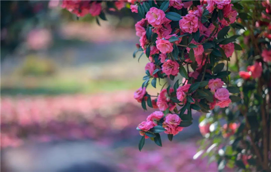 騰沖戶外拓展項(xiàng)目推薦：智慧與協(xié)作并存的水上拓展項(xiàng)目【實(shí)戰(zhàn)項(xiàng)目】滴水不露