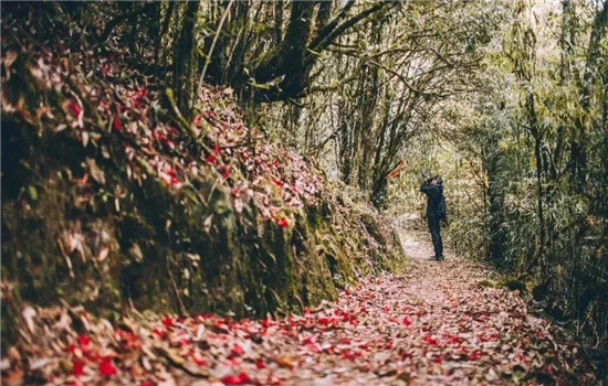 騰沖景區(qū)景點