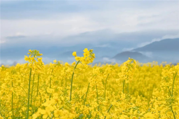 騰沖景區(qū)景點