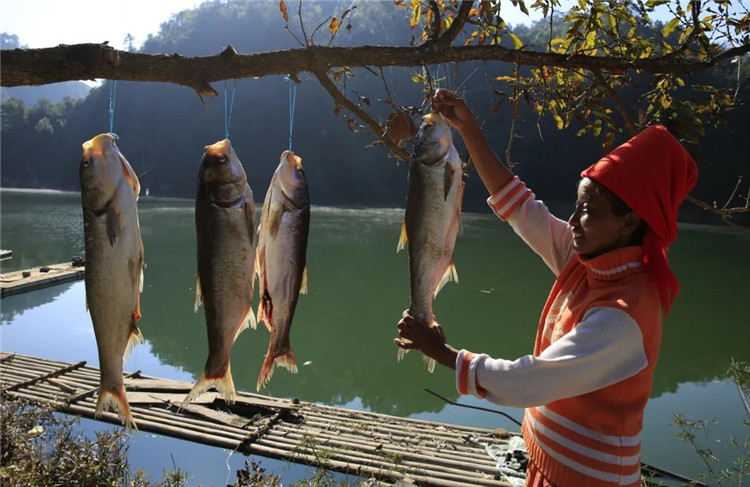 騰沖旅游 騰沖旅游