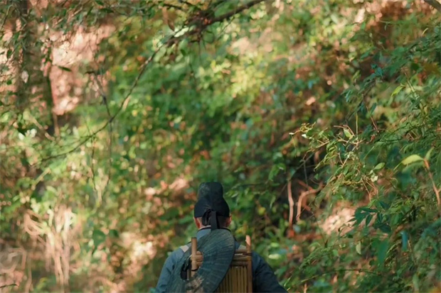 云南旅游,云南旅行社,云南團建公司,云南策劃公司,云南會議會展,騰沖旅游,騰沖旅行社,騰沖團建公司,騰沖策劃公司,騰沖會議會展：跟著徐霞客游騰沖 ▏寶峰山：探尋386年前的山林秘境！